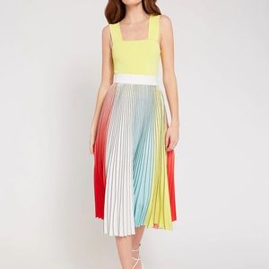 Alice & Olivia - Arden Pleated Midi Skirt in Multi